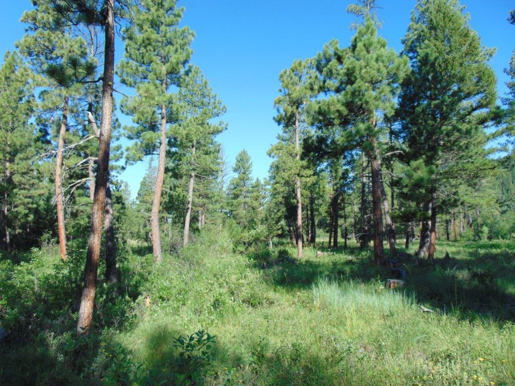 4615 Abe Lincoln Road Property Photo 2