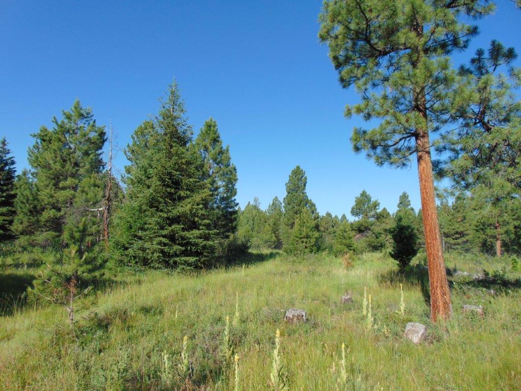 4615 Abe Lincoln Road Property Photo 24