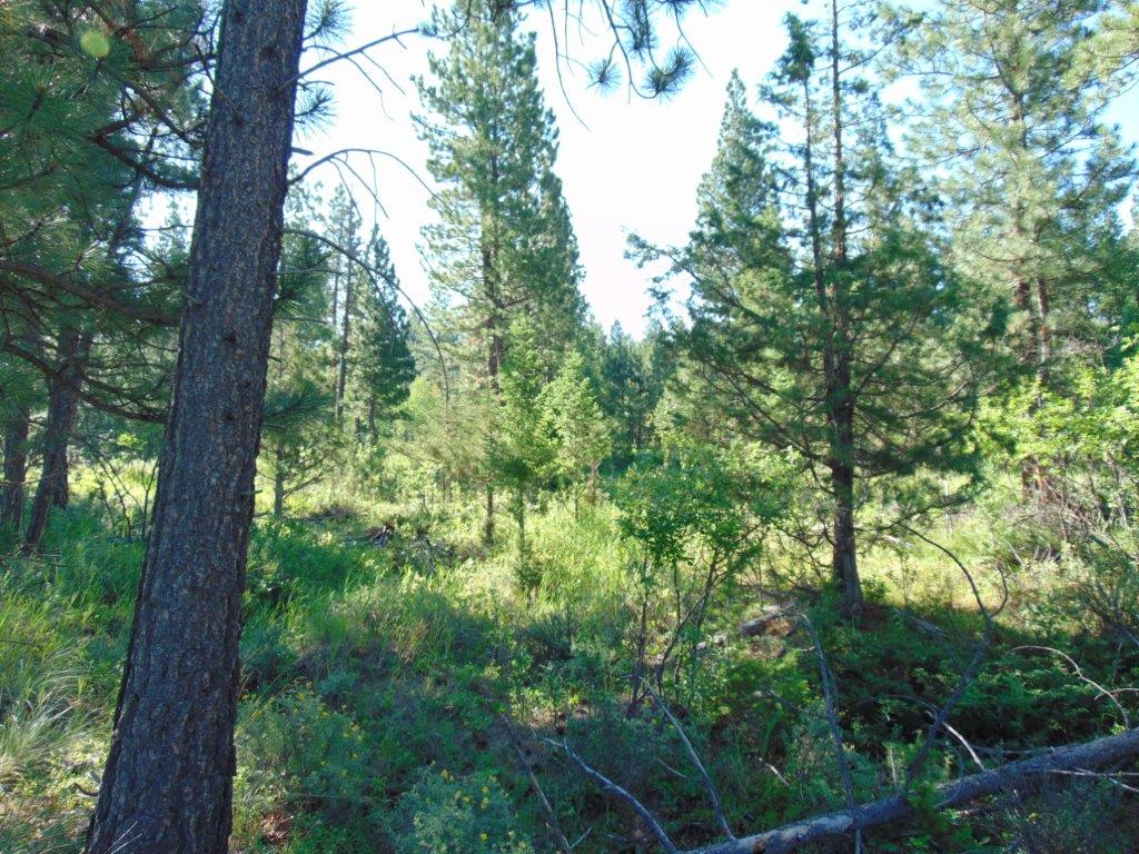 4615 Abe Lincoln Road Property Photo 60