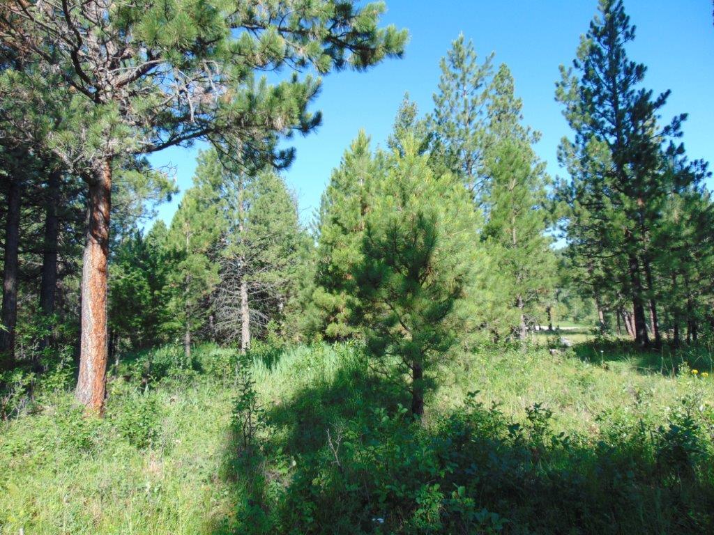 4615 Abe Lincoln Road Property Photo 70