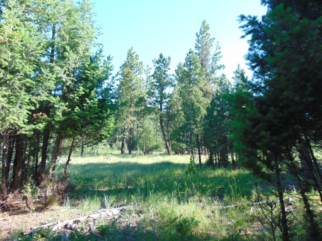 4615 Abe Lincoln Road Property Photo 84