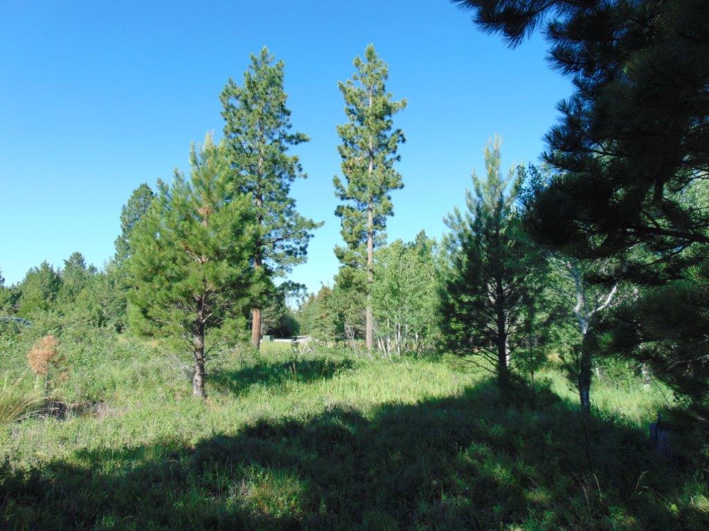 4615 Abe Lincoln Road Property Photo 89