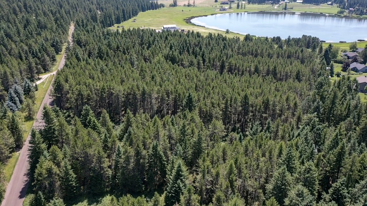 80 Wagon Wheel Road Property Photo 1
