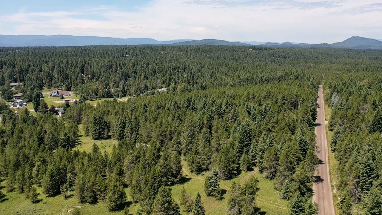80 Wagon Wheel Road Property Photo 5