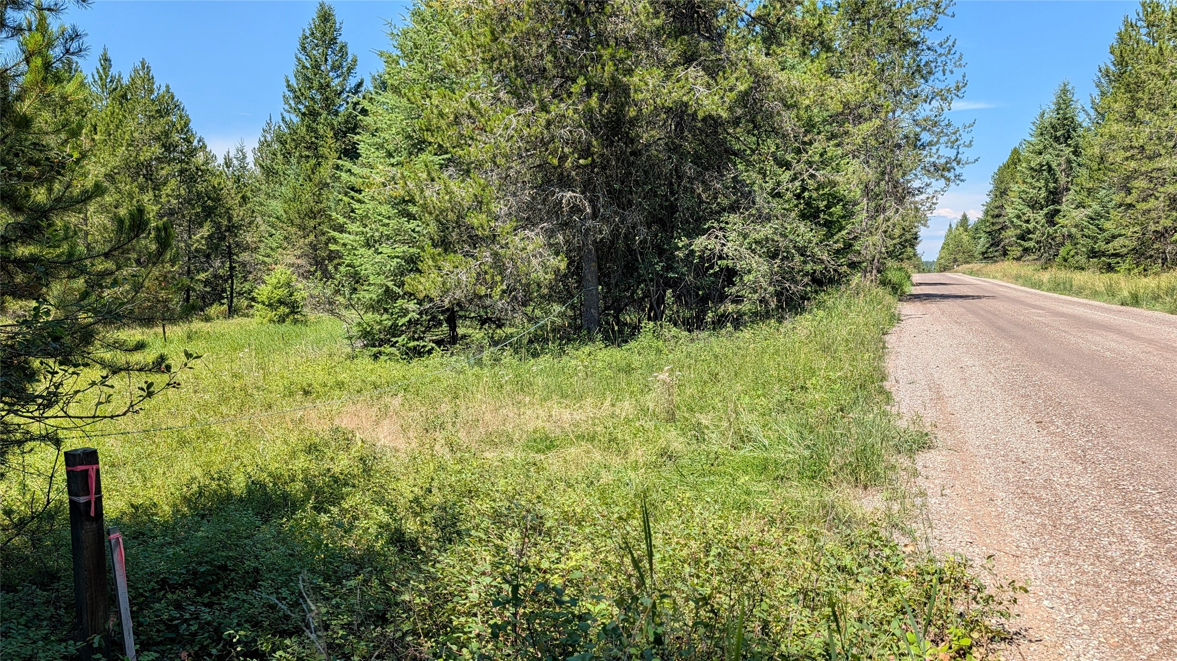 80 Wagon Wheel Road Property Photo 12
