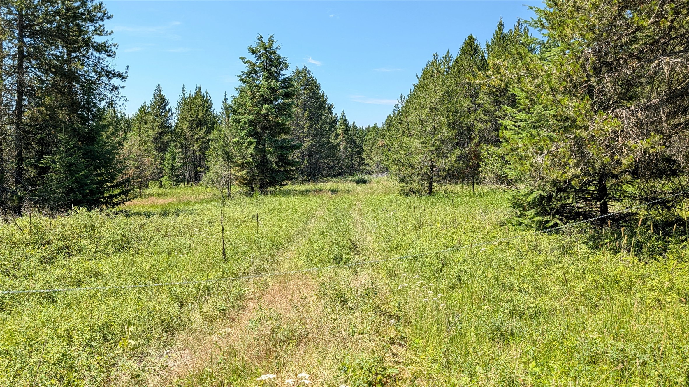 80 Wagon Wheel Road Property Photo 13