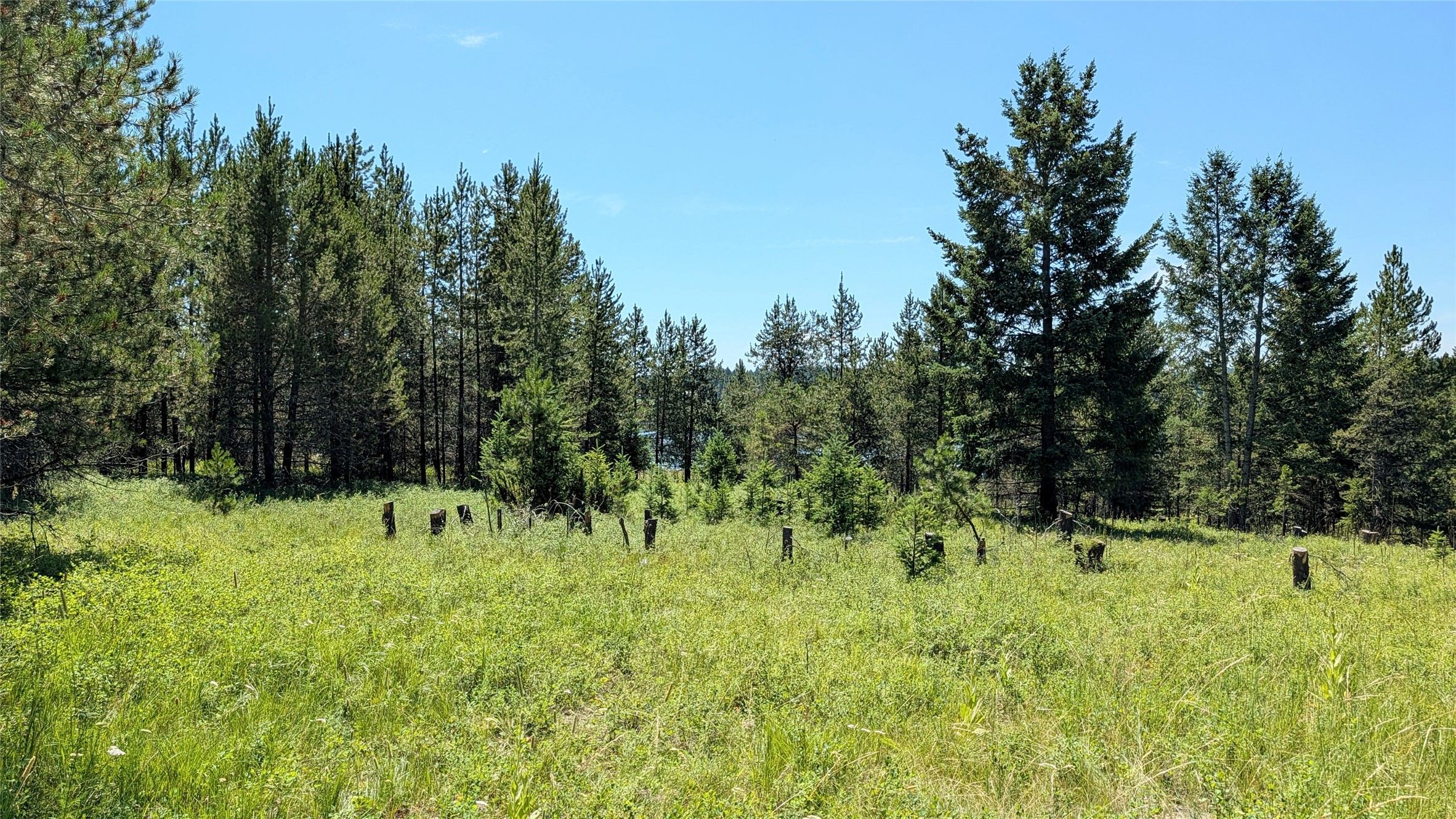 80 Wagon Wheel Road Property Photo 14