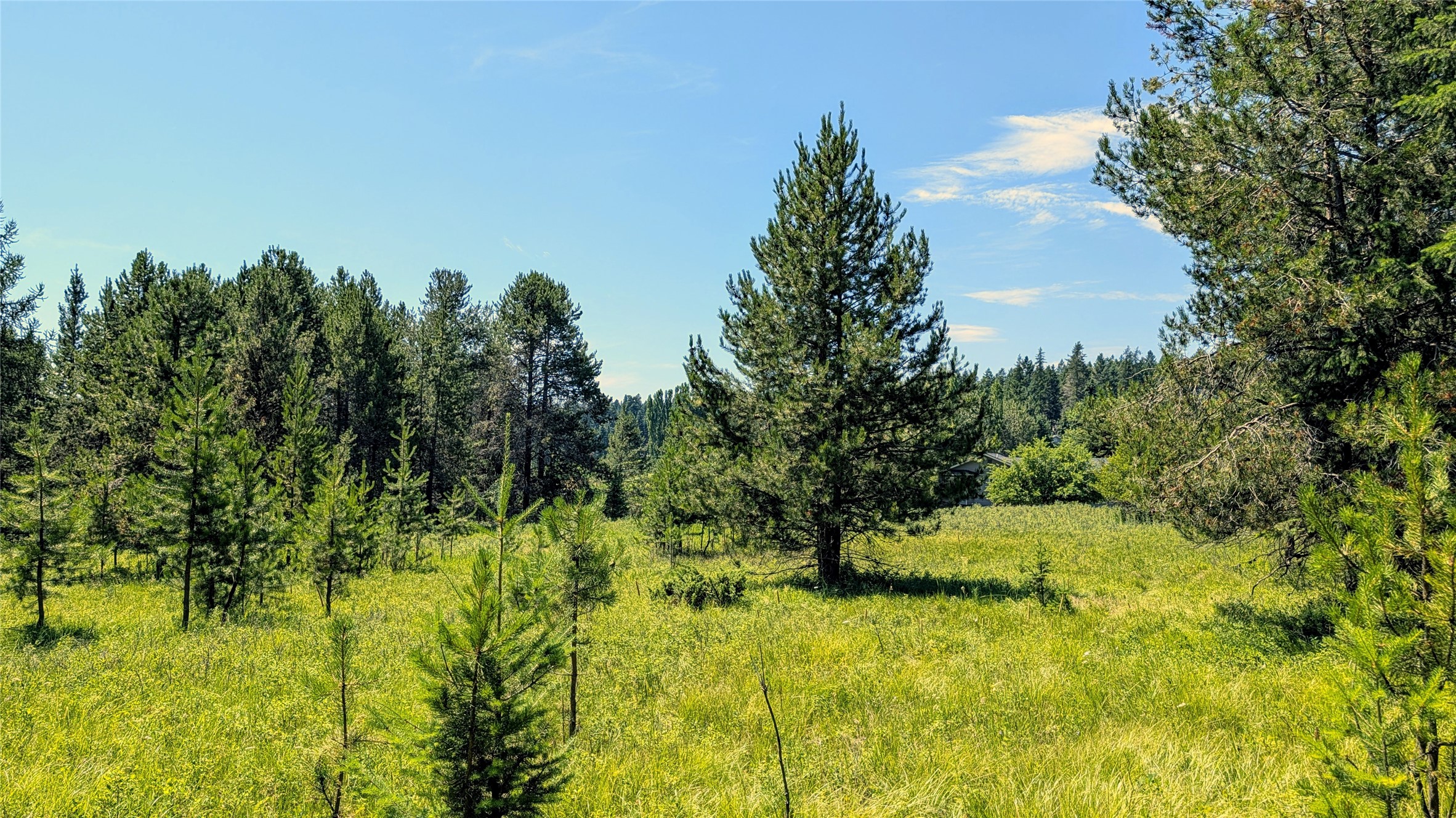 80 Wagon Wheel Road Property Photo 15