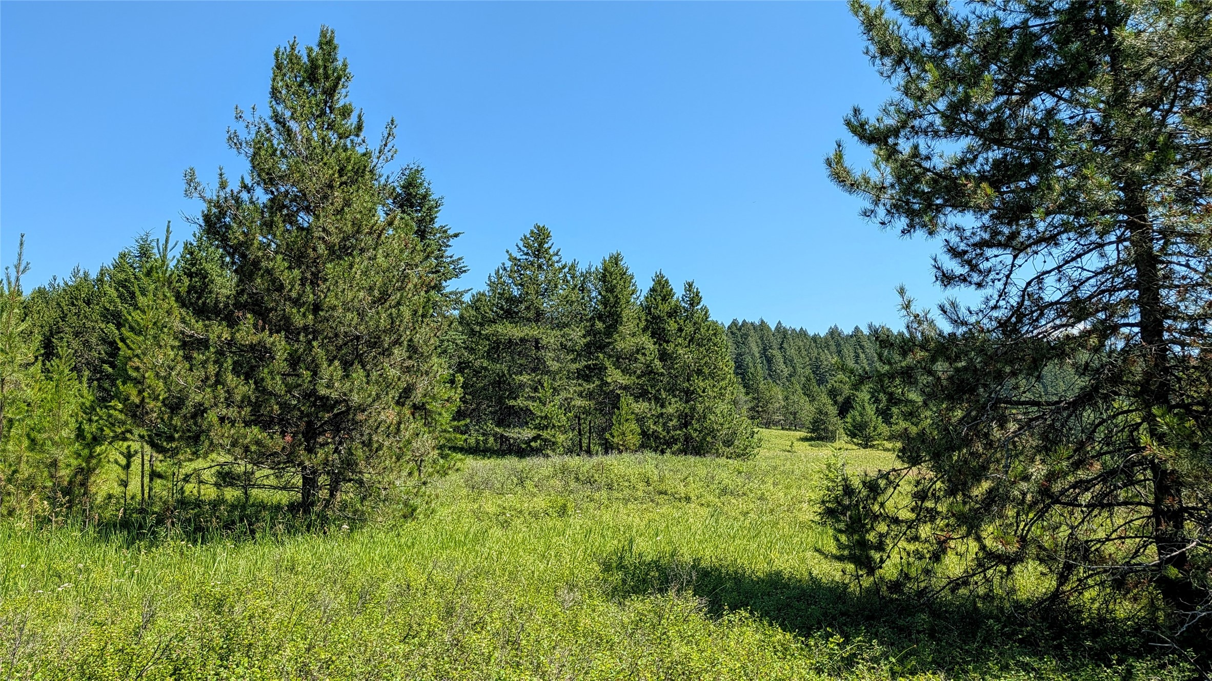80 Wagon Wheel Road Property Photo 17