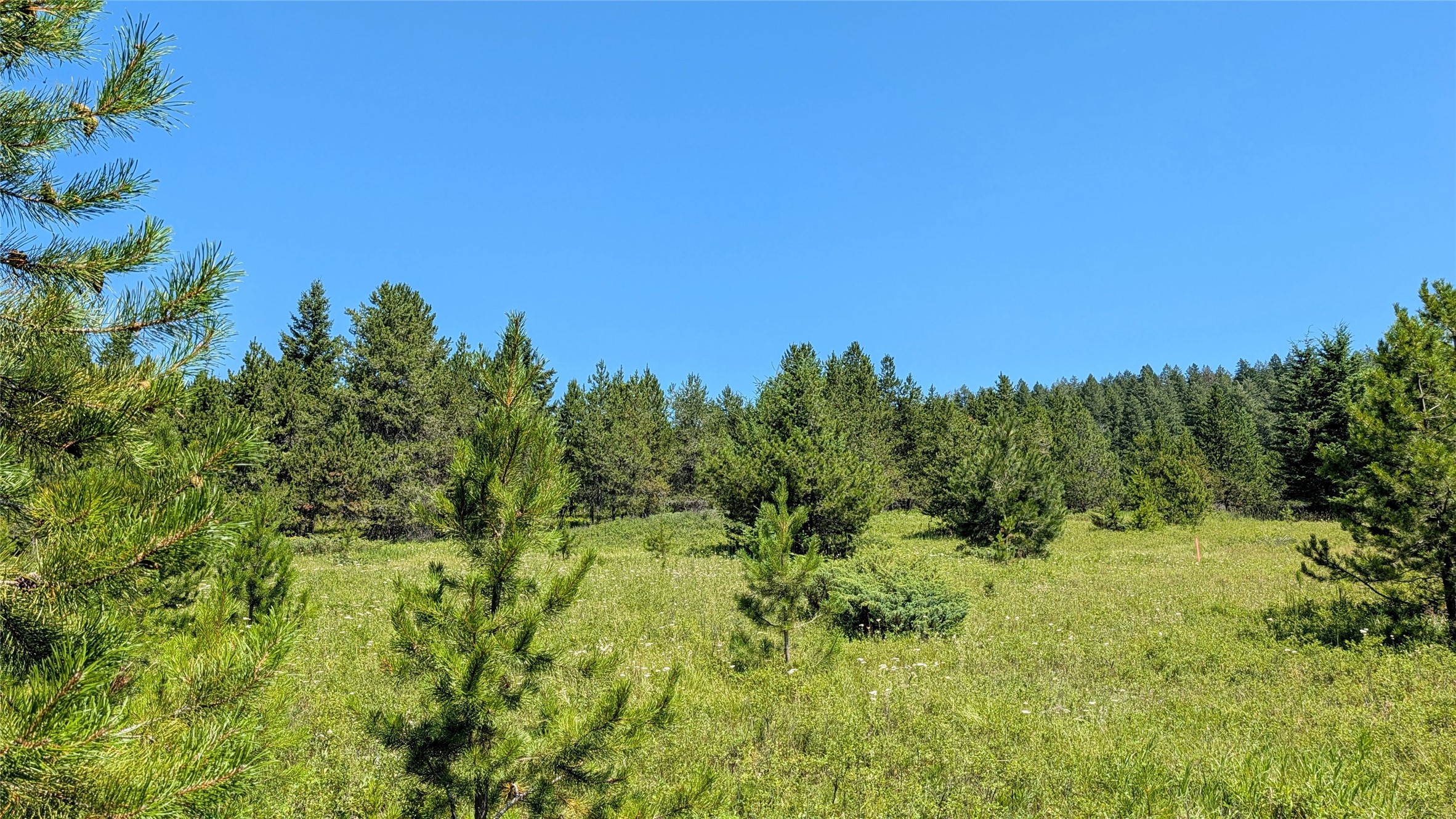 80 Wagon Wheel Road Property Photo 18