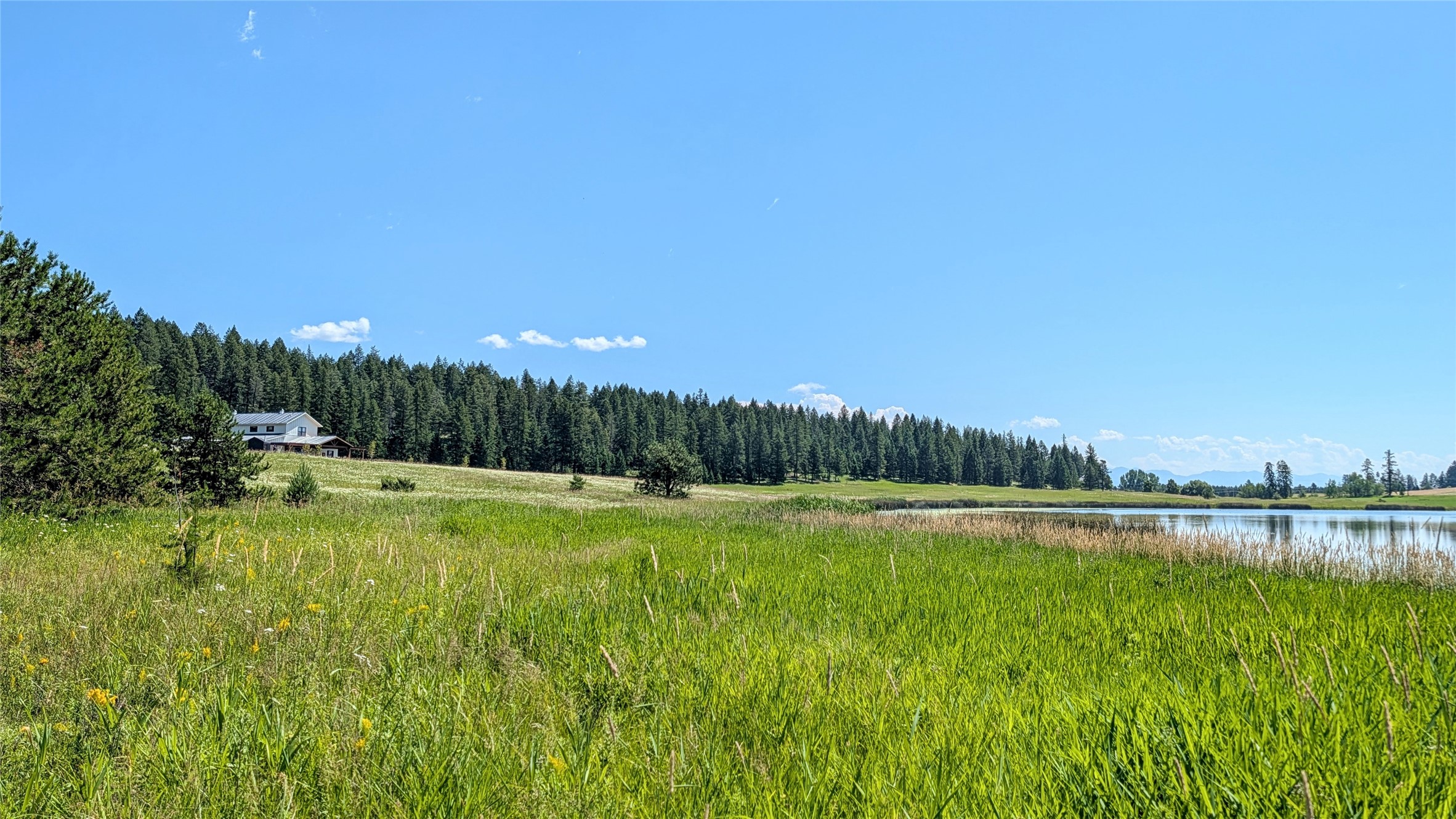 80 Wagon Wheel Road Property Photo 19
