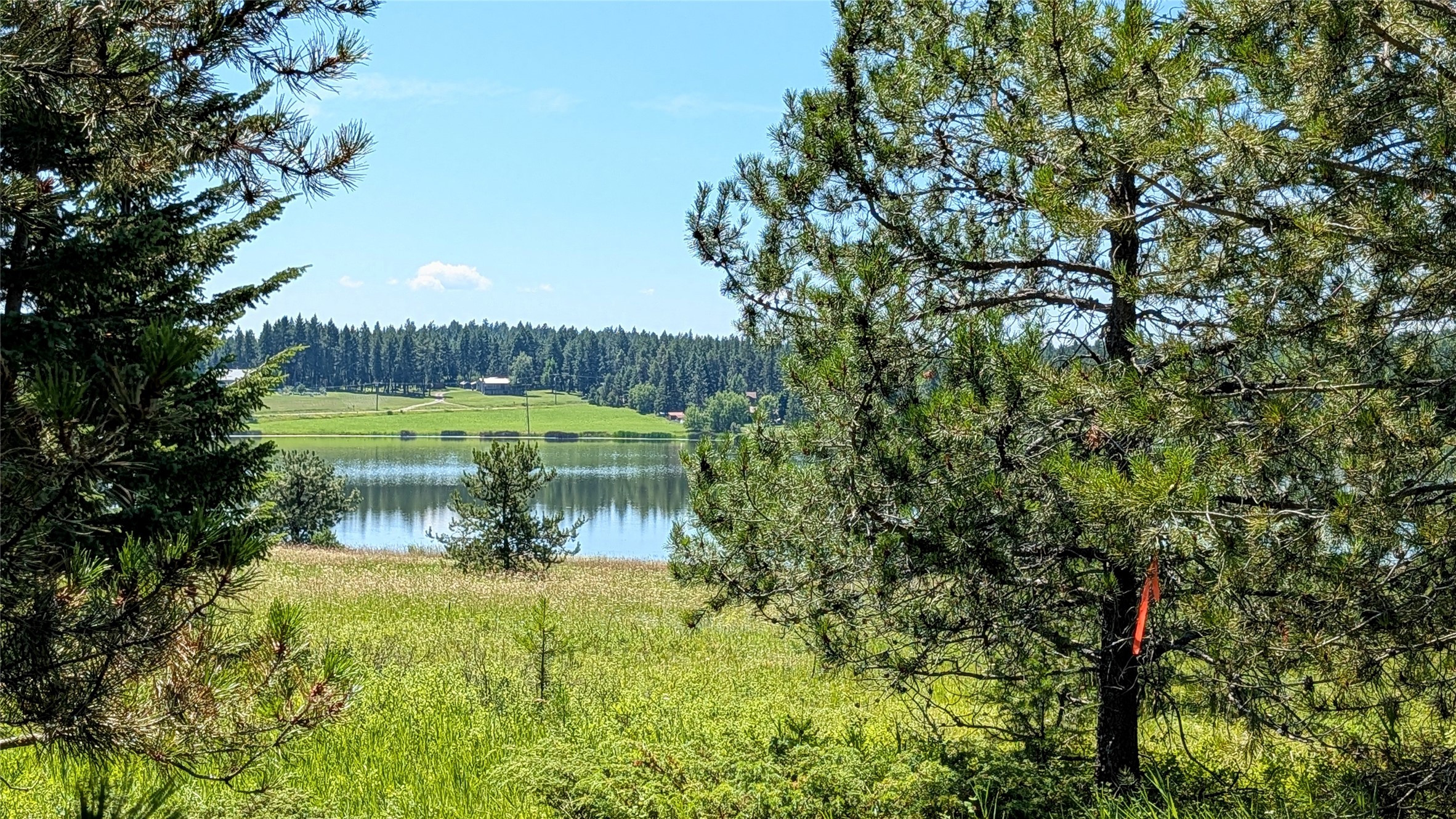 80 Wagon Wheel Road Property Photo 20