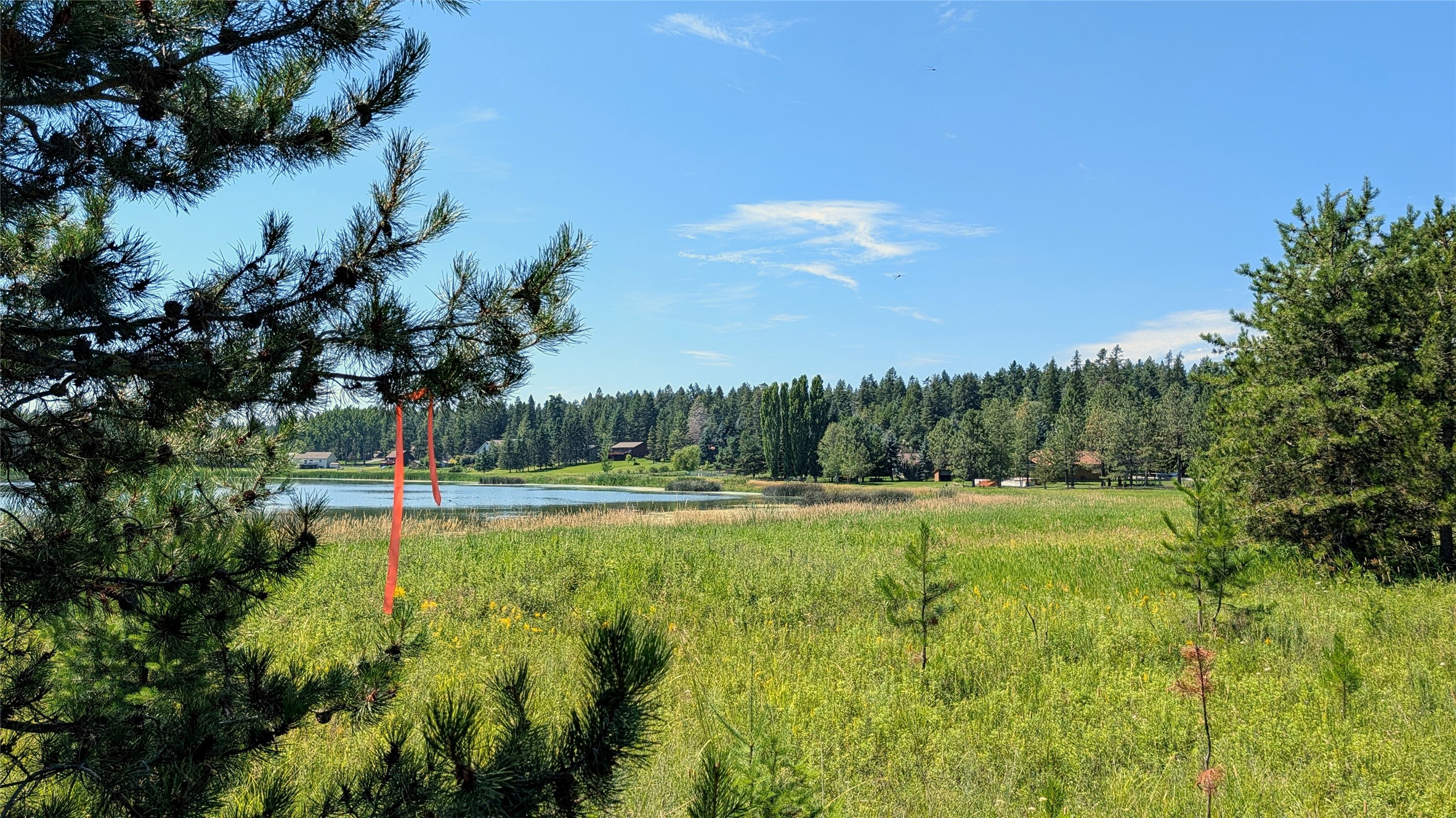 80 Wagon Wheel Road Property Photo 22