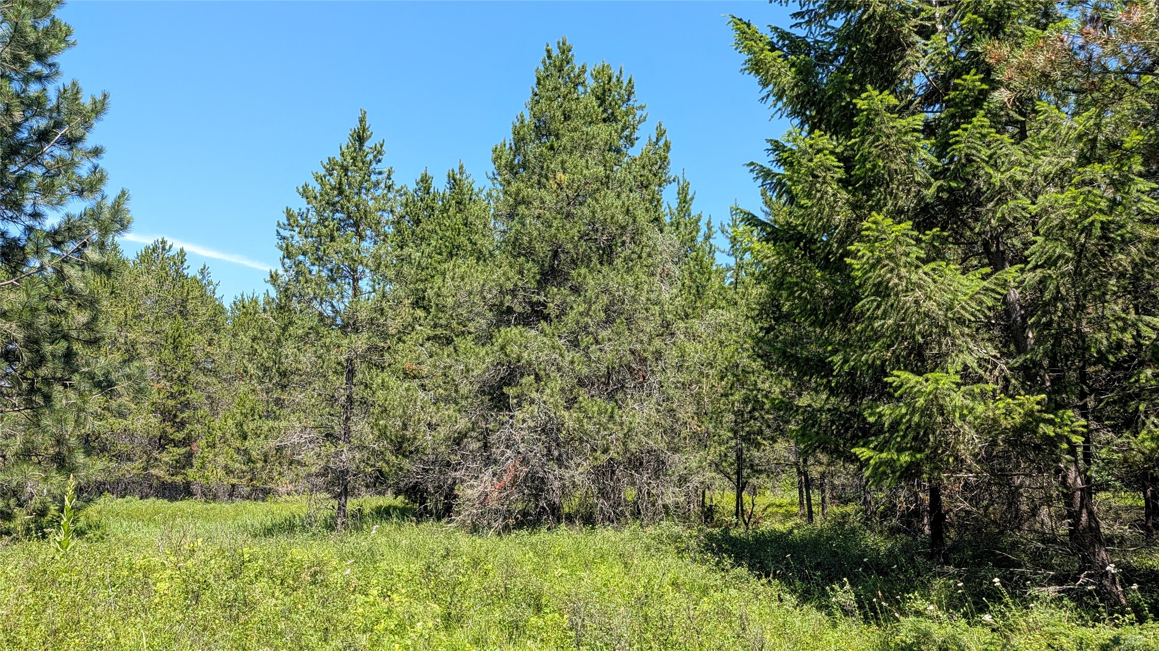 80 Wagon Wheel Road Property Photo 24