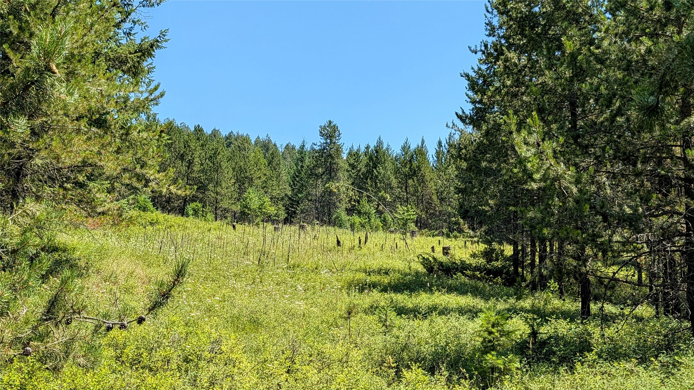 80 Wagon Wheel Road Property Photo 25