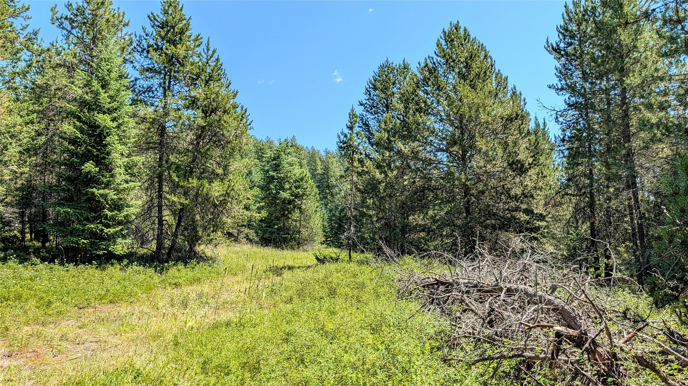80 Wagon Wheel Road Property Photo 26