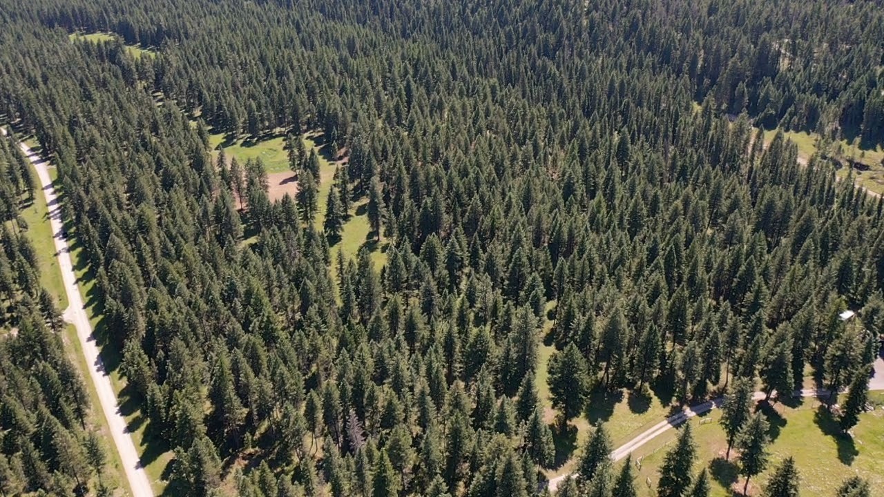 1550 Lost Creek Drive Property Photo 2