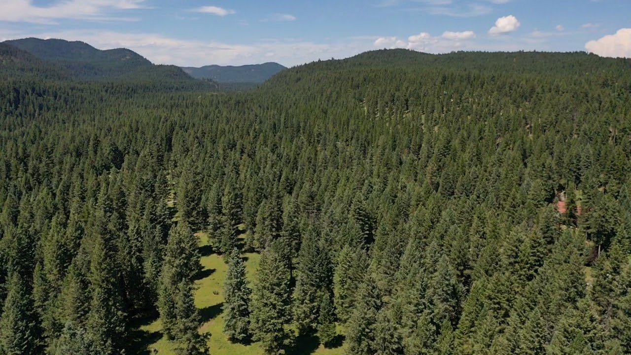 1550 Lost Creek Drive Property Photo 6