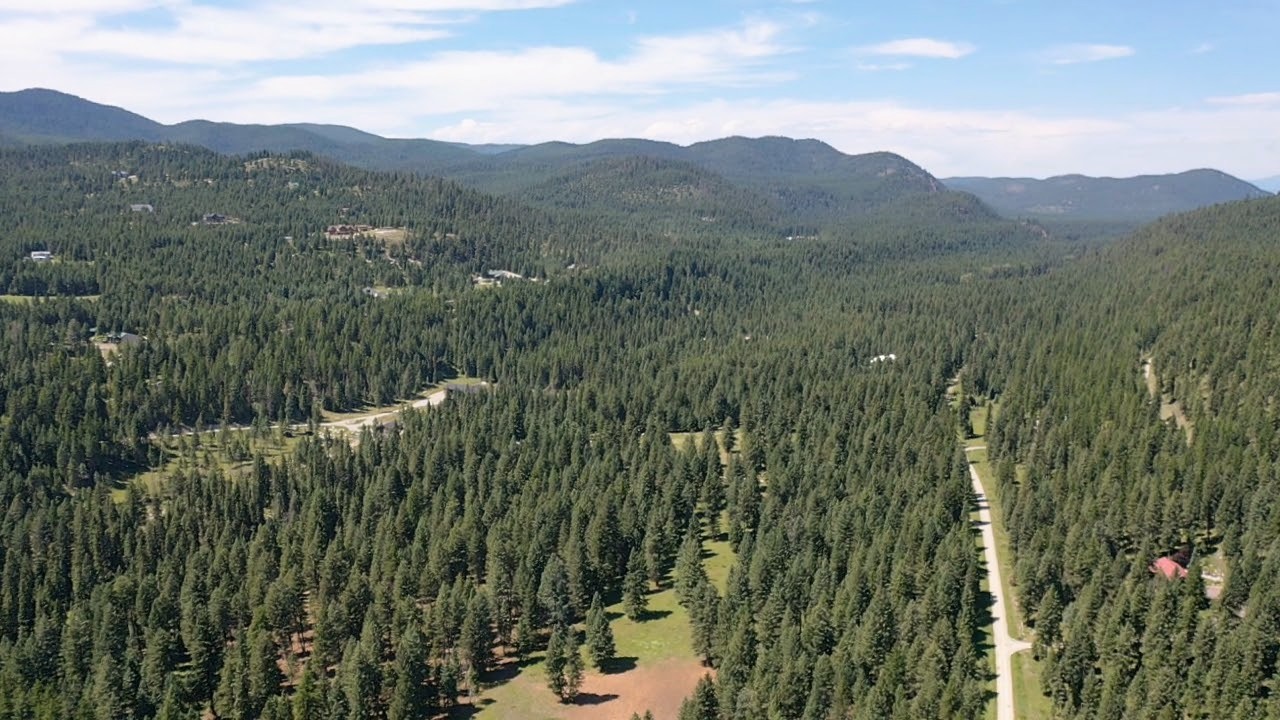 1550 Lost Creek Drive Property Photo 8