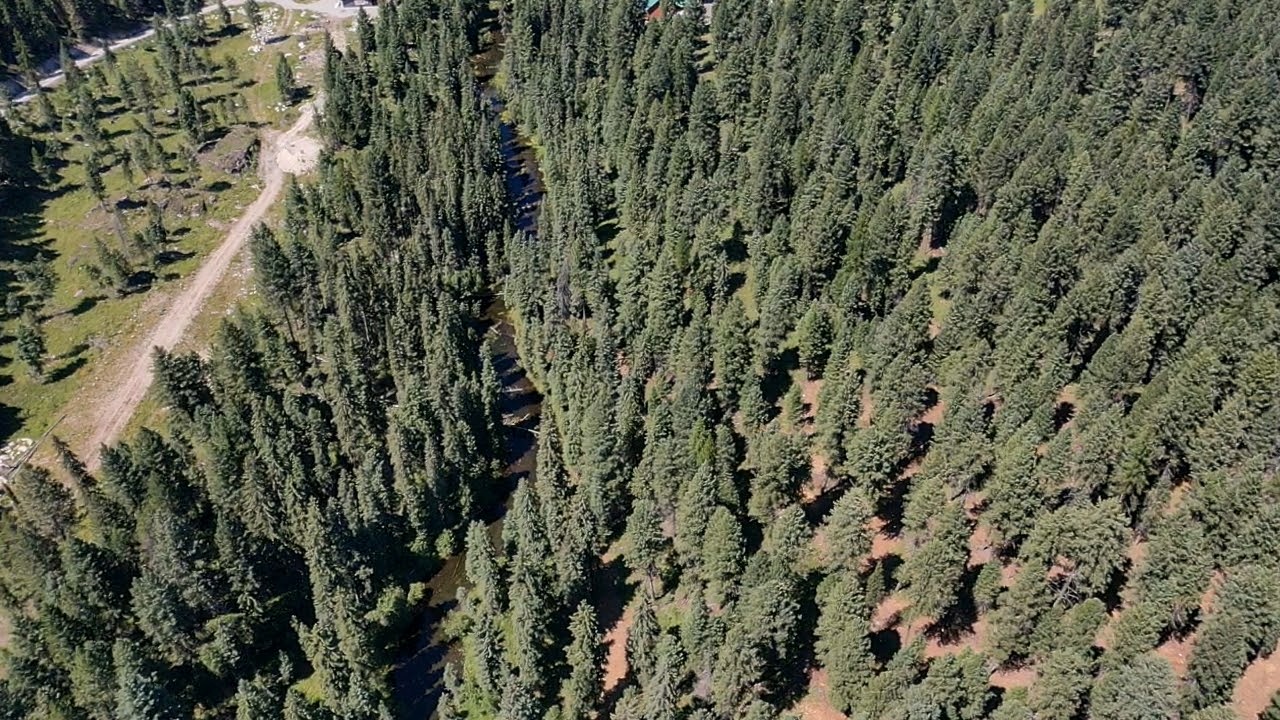 1550 Lost Creek Drive Property Photo 10