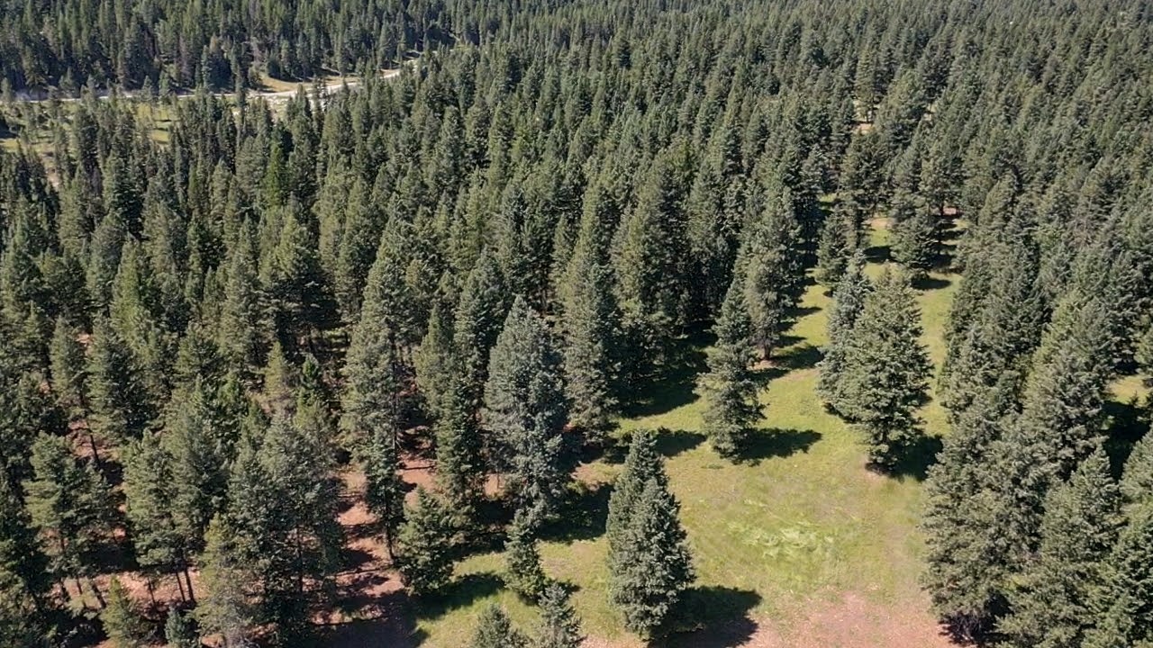 1550 Lost Creek Drive Property Photo 11