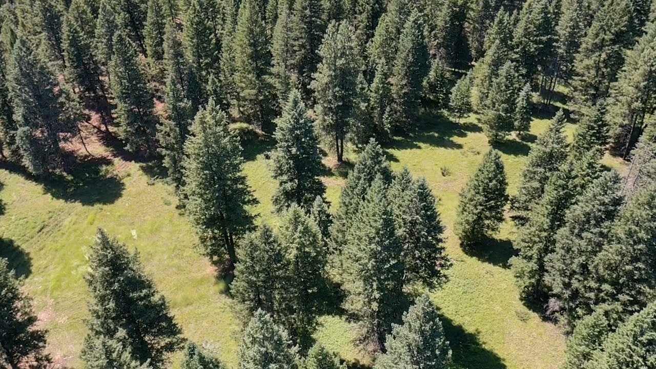 1550 Lost Creek Drive Property Photo 12