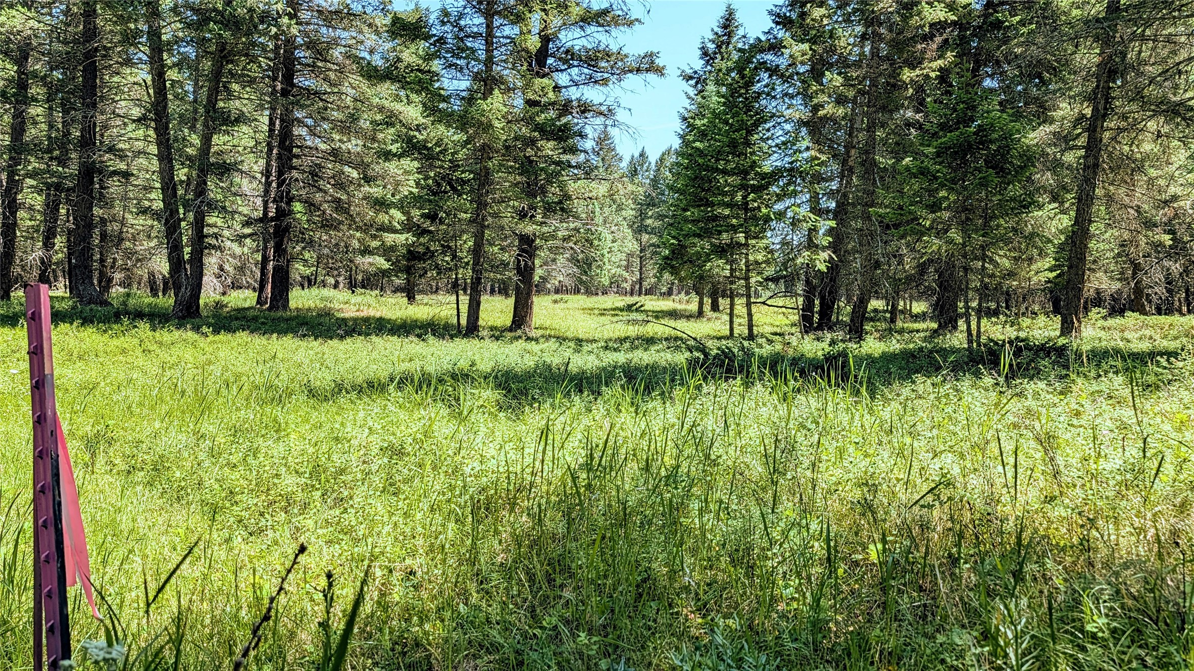 1550 Lost Creek Drive Property Photo 14
