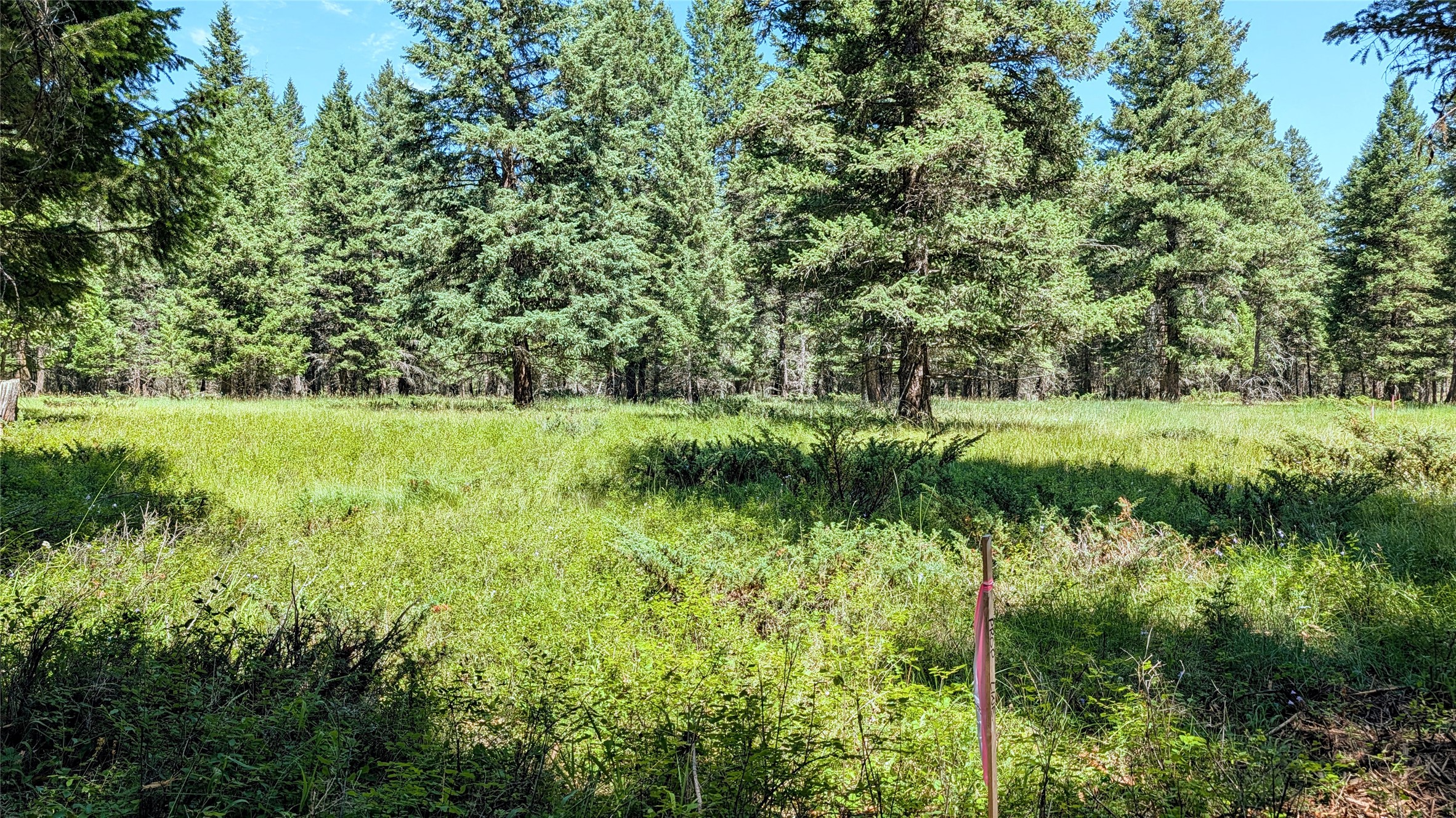 1550 Lost Creek Drive Property Photo 15