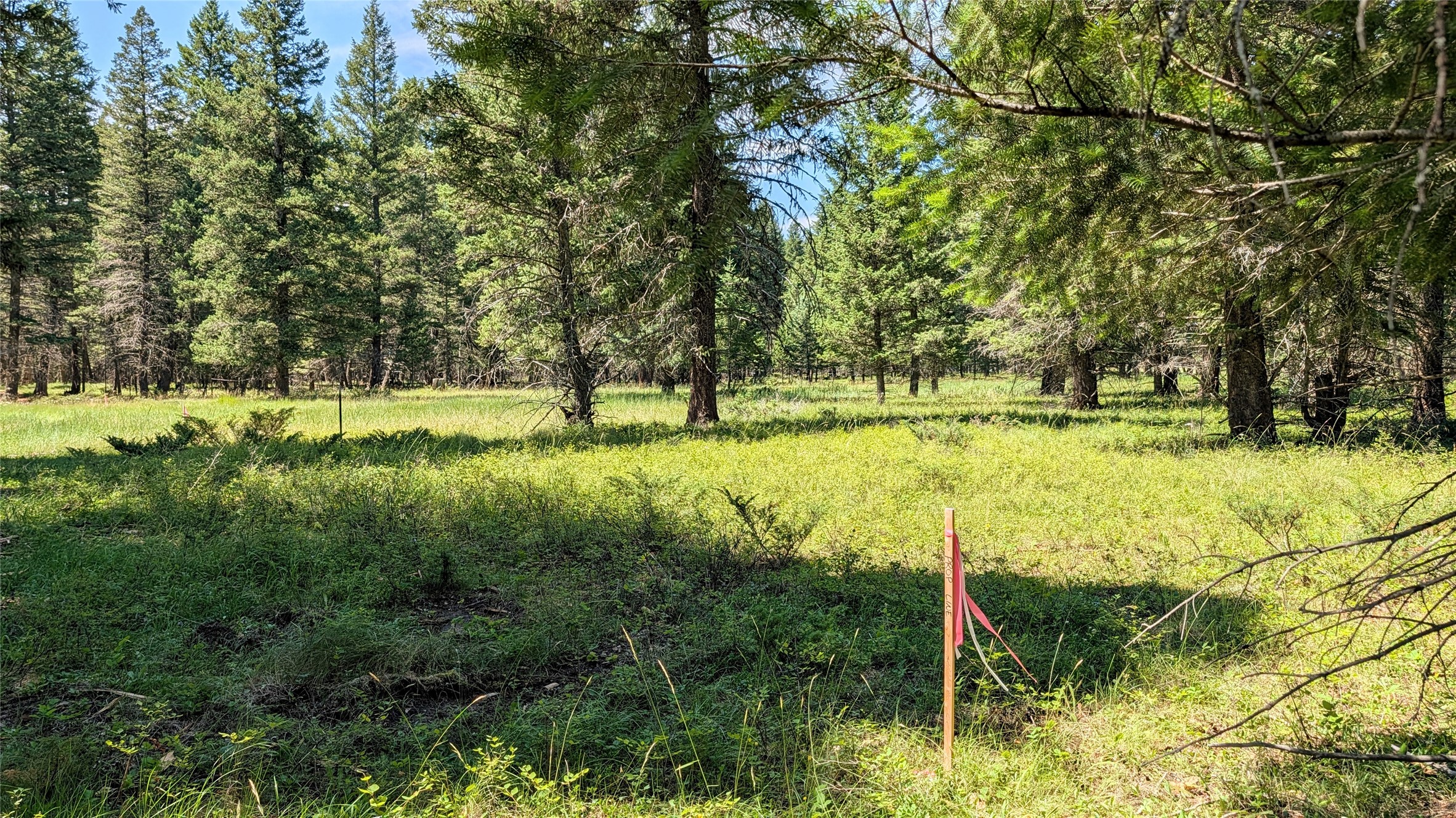 1550 Lost Creek Drive Property Photo 16