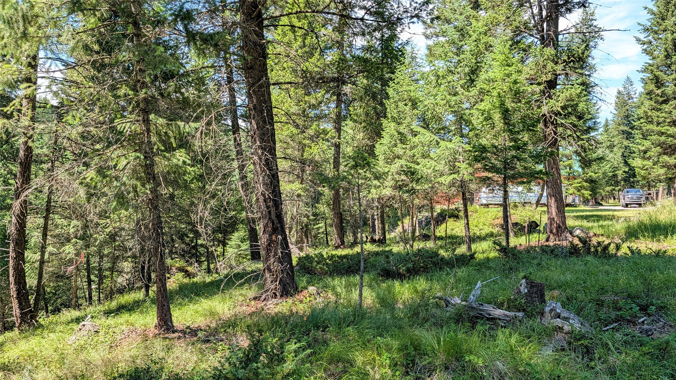 1550 Lost Creek Drive Property Photo 22