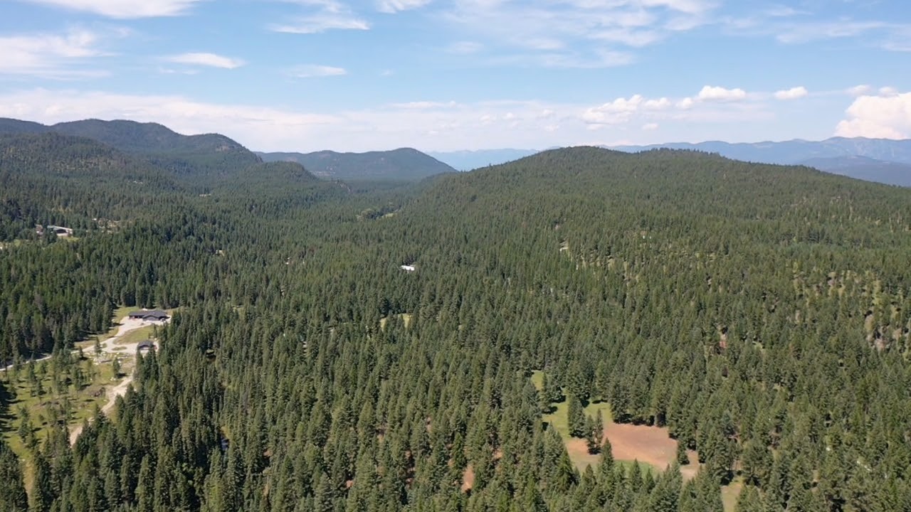 1550 Lost Creek Drive Property Photo 23