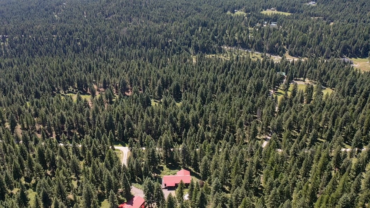1550 Lost Creek Drive Property Photo 24