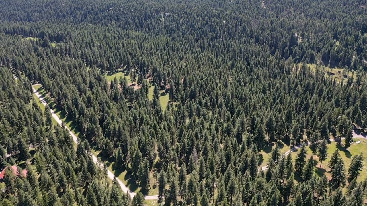 1550 Lost Creek Drive Property Photo 25