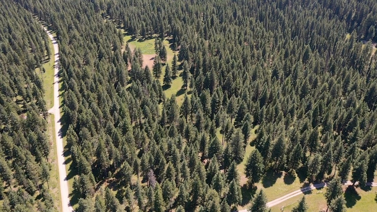 1550 Lost Creek Drive Property Photo 26
