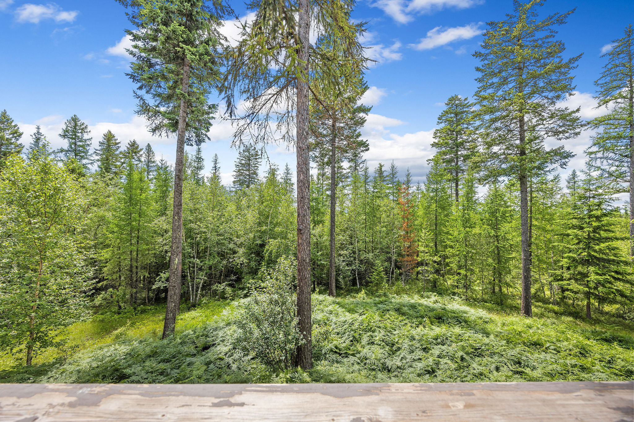 70 Big Cedar Property Photo 64