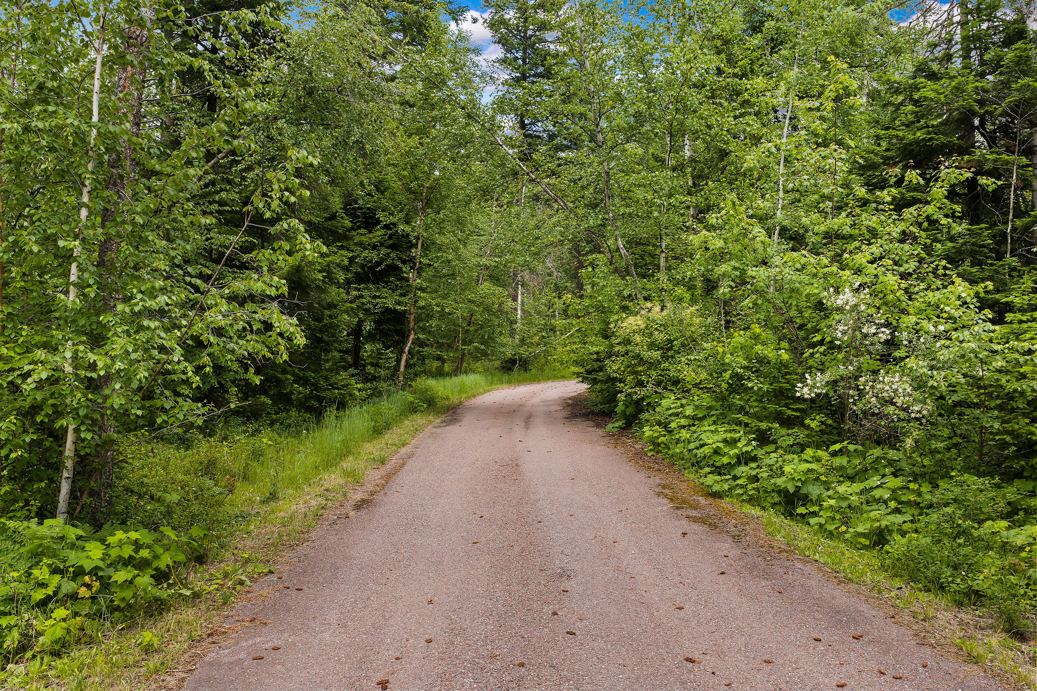 70 Big Cedar Property Photo 86