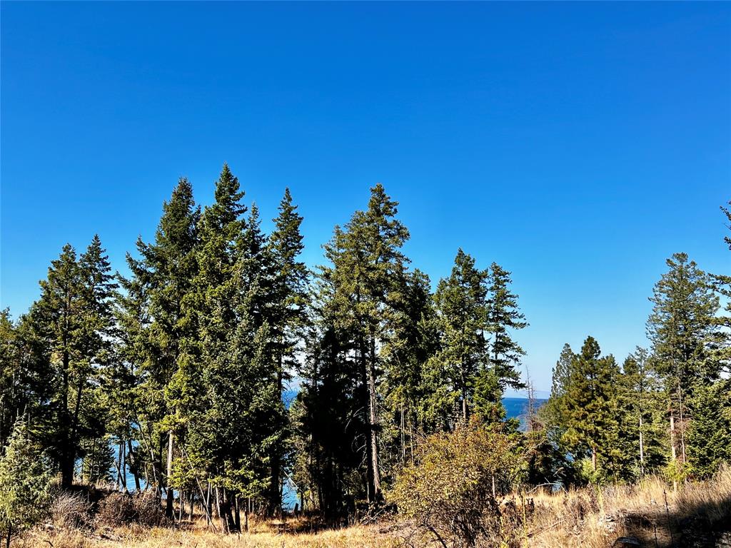 30373 Coneflower Lane Property Photo 26