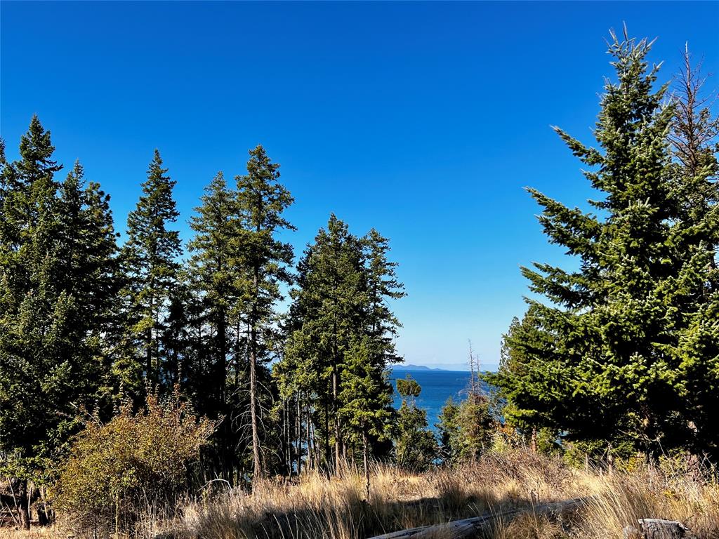 30373 Coneflower Lane Property Photo 27
