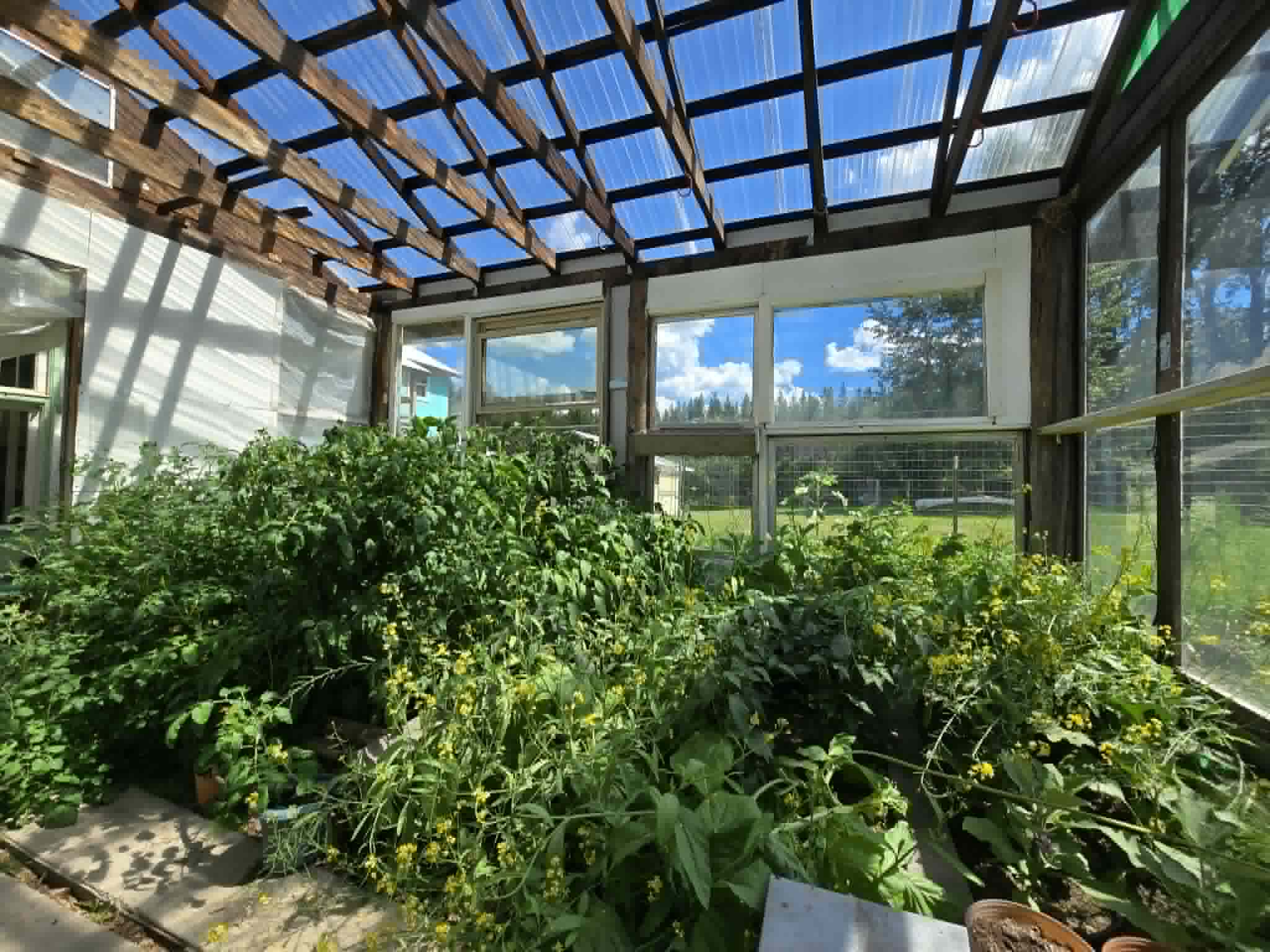 29132 Yaak River Road Property Photo 6