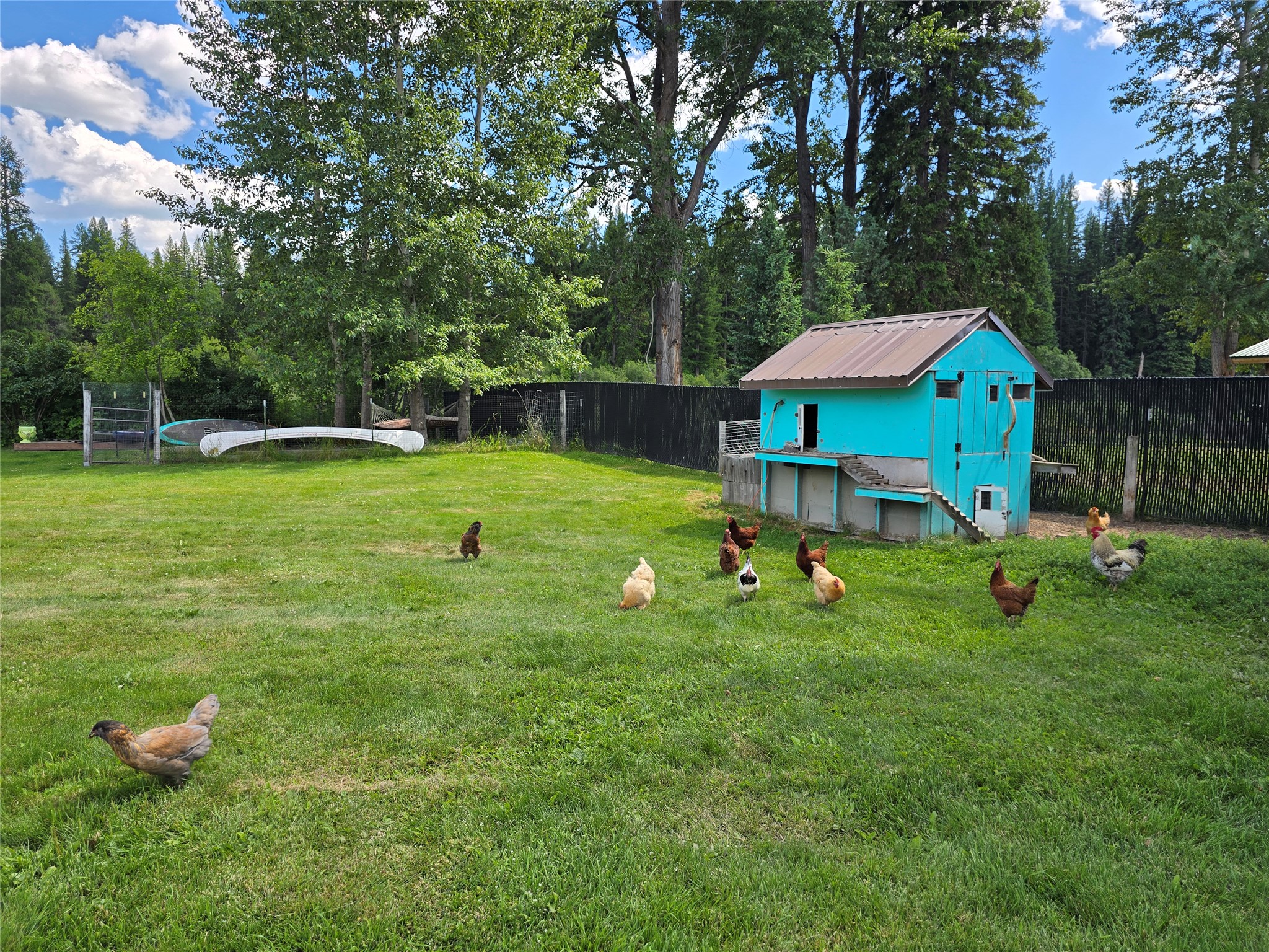 29132 Yaak River Road Property Photo 16