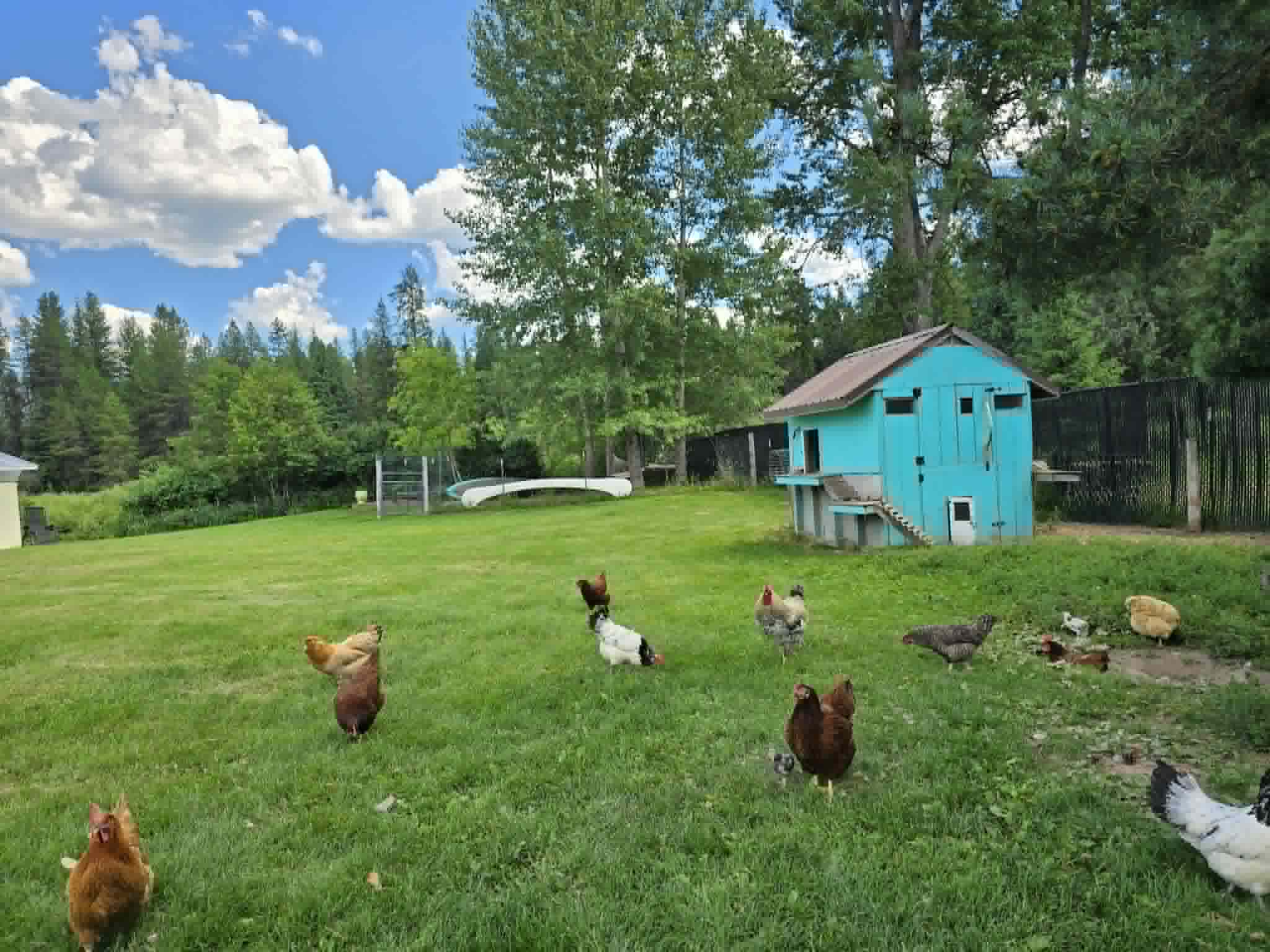 29132 Yaak River Road Property Photo 37