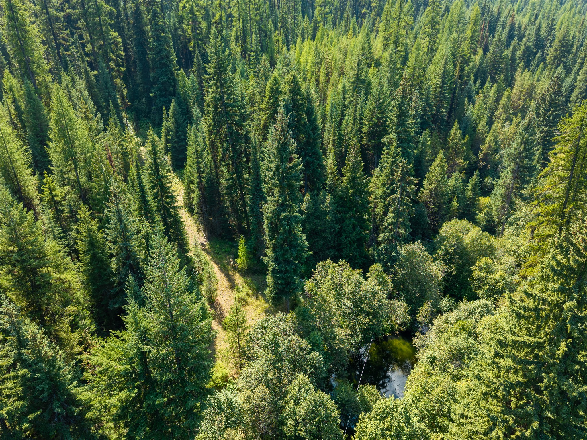 8160 W Fork Petty Creek Road Property Photo 8
