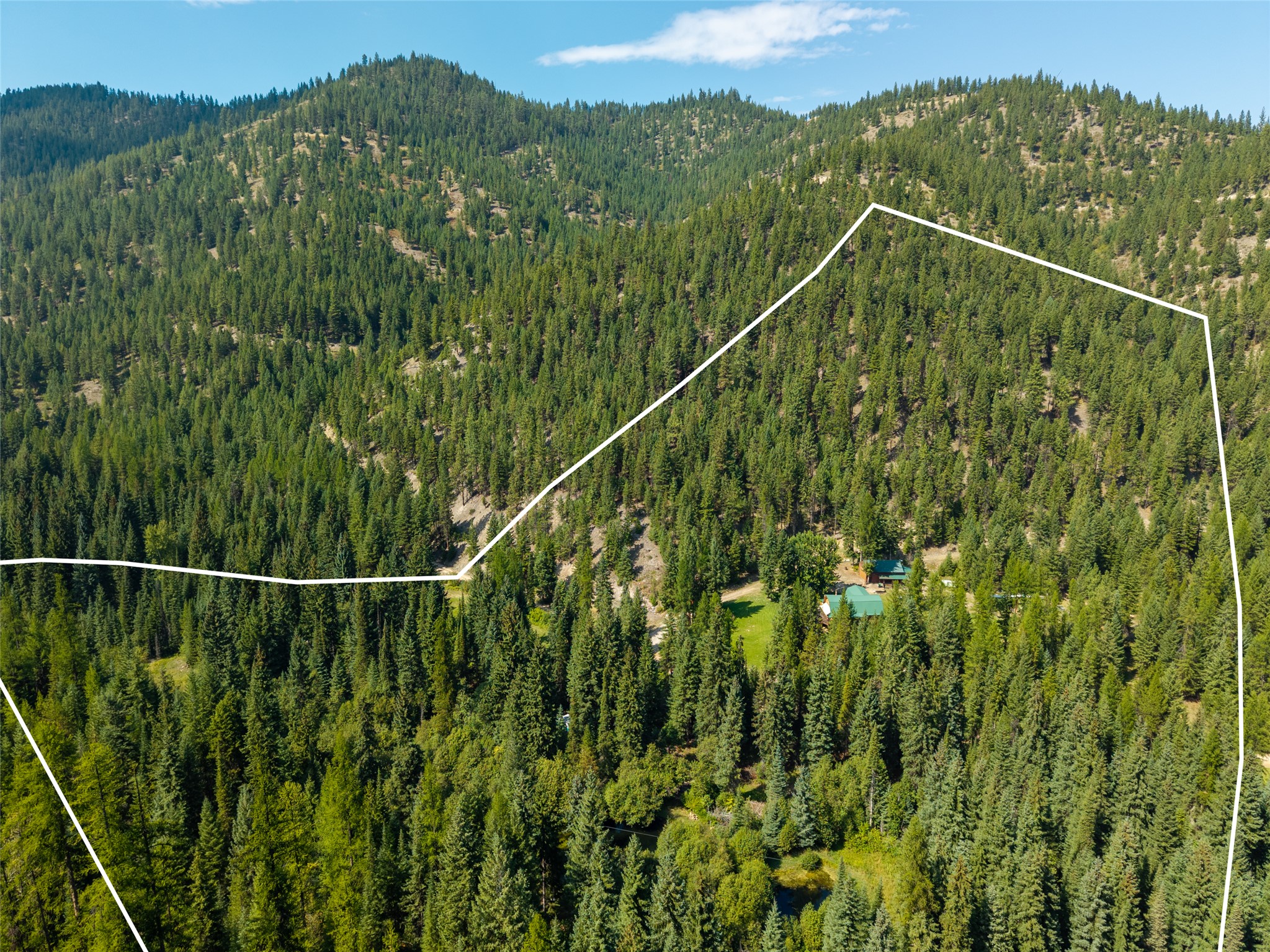 8160 W Fork Petty Creek Road Property Photo 11