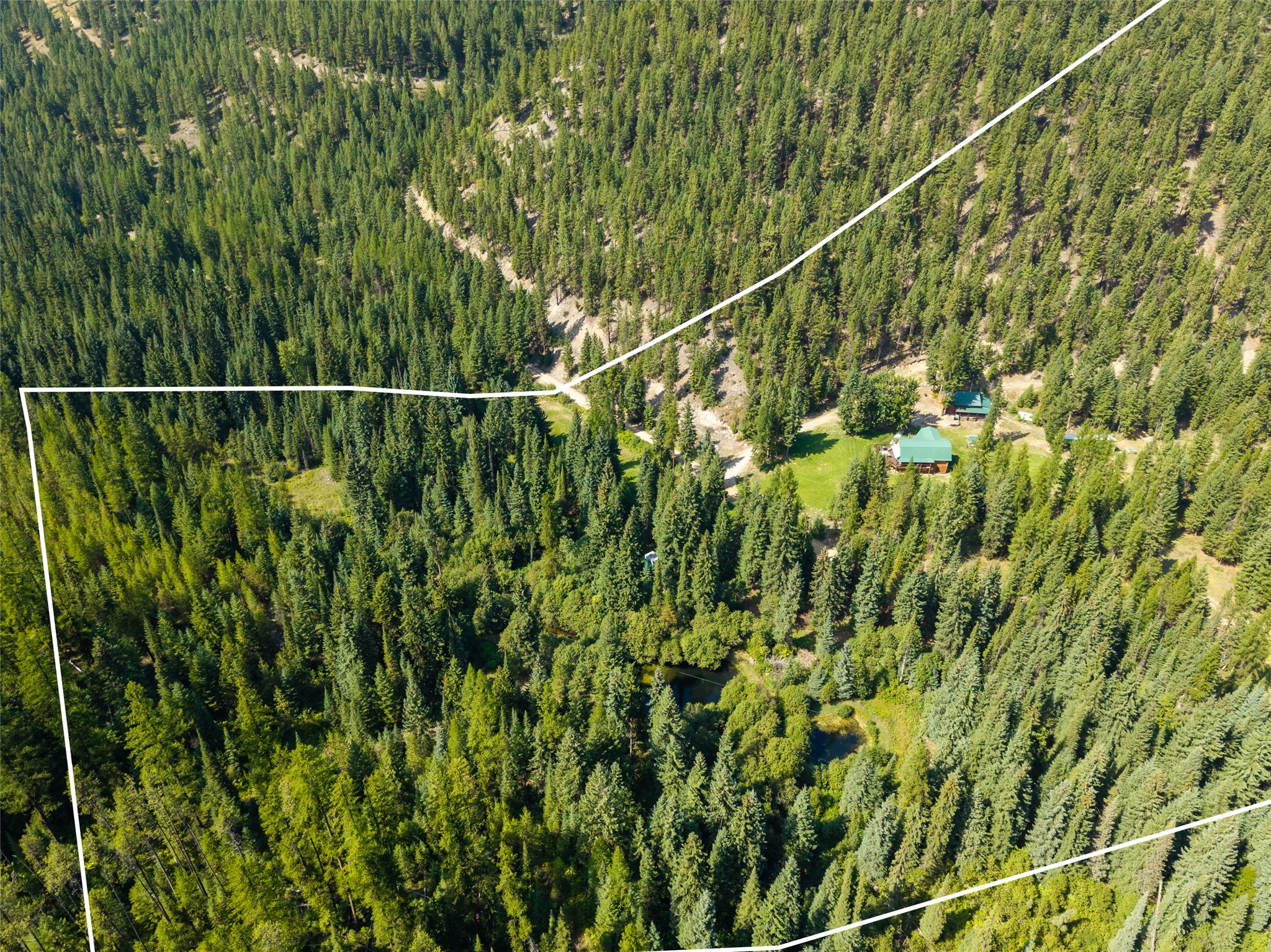 8160 W Fork Petty Creek Road Property Photo 12