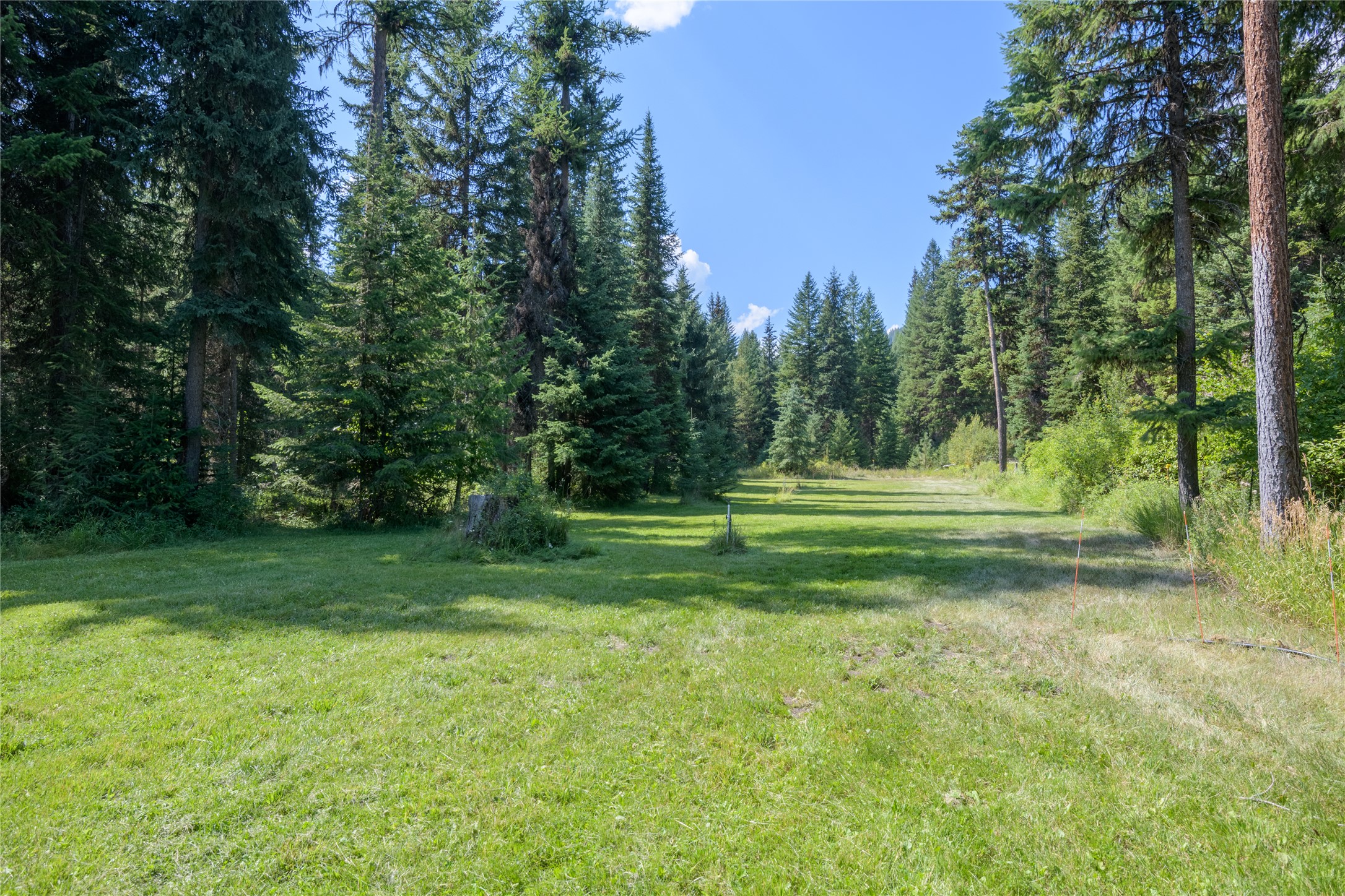 8160 W Fork Petty Creek Road Property Photo 40