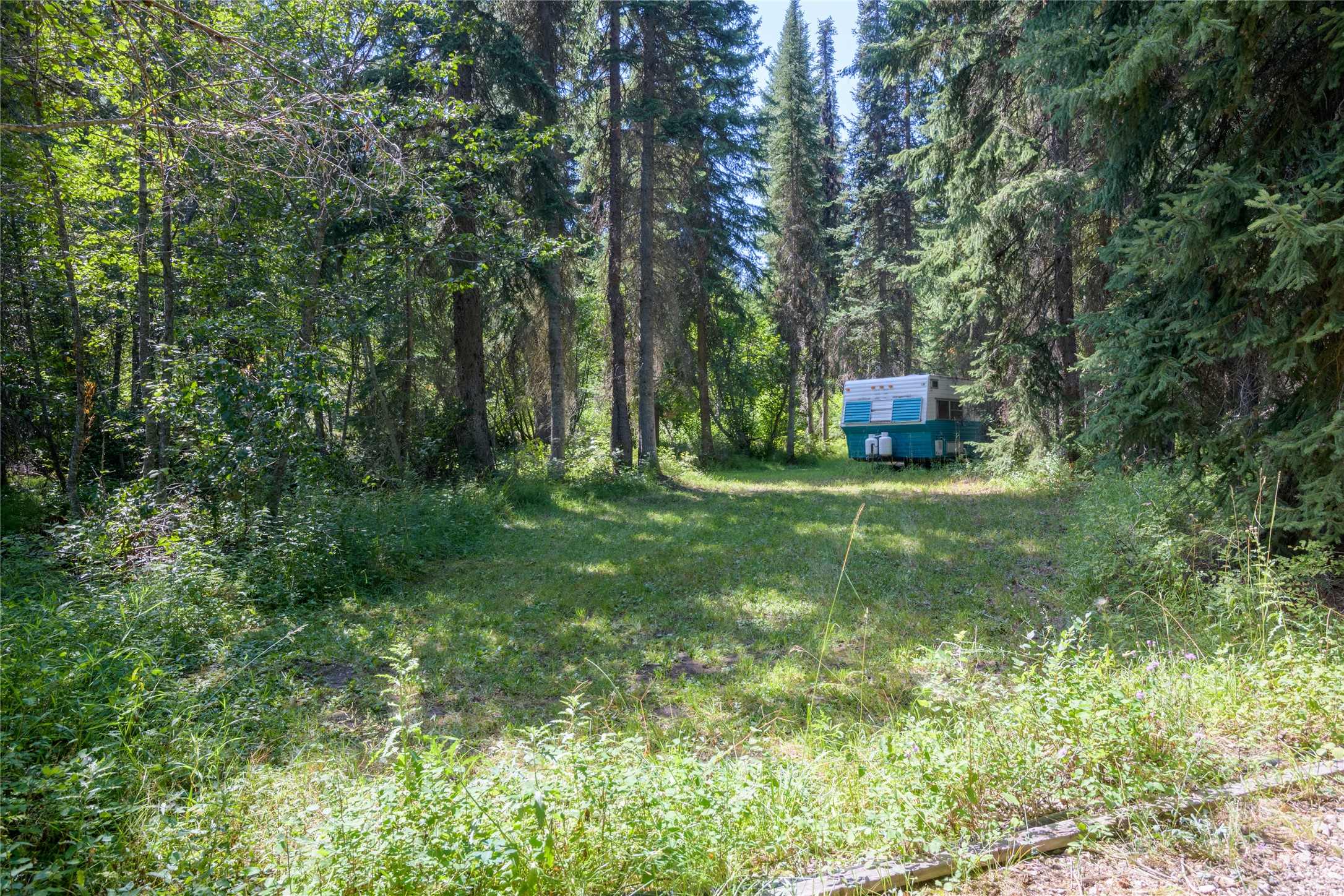8160 W Fork Petty Creek Road Property Photo 42