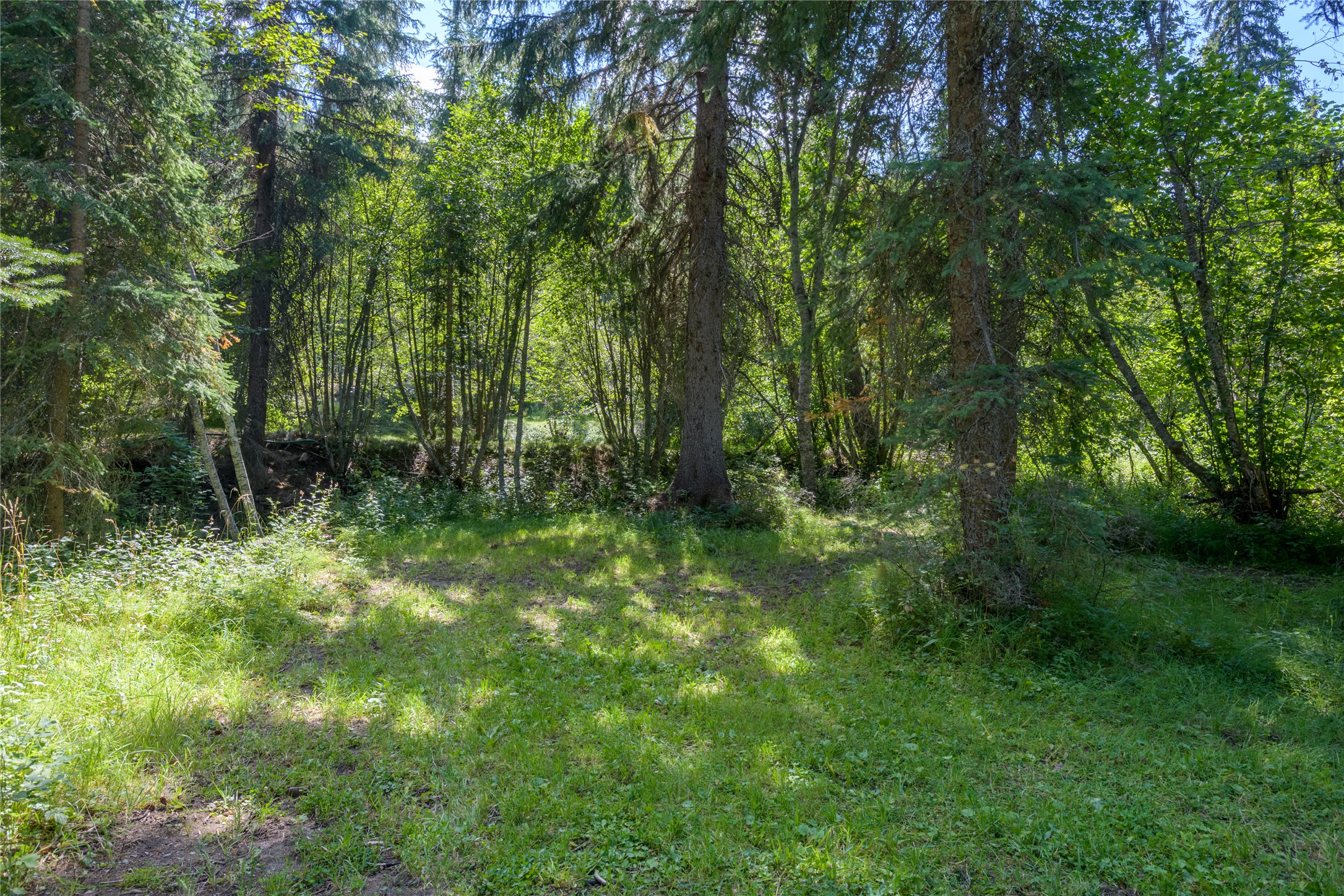 8160 W Fork Petty Creek Road Property Photo 43