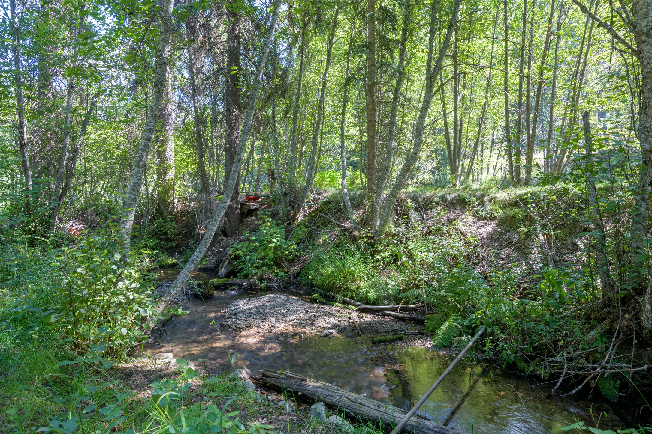 8160 W Fork Petty Creek Road Property Photo 44