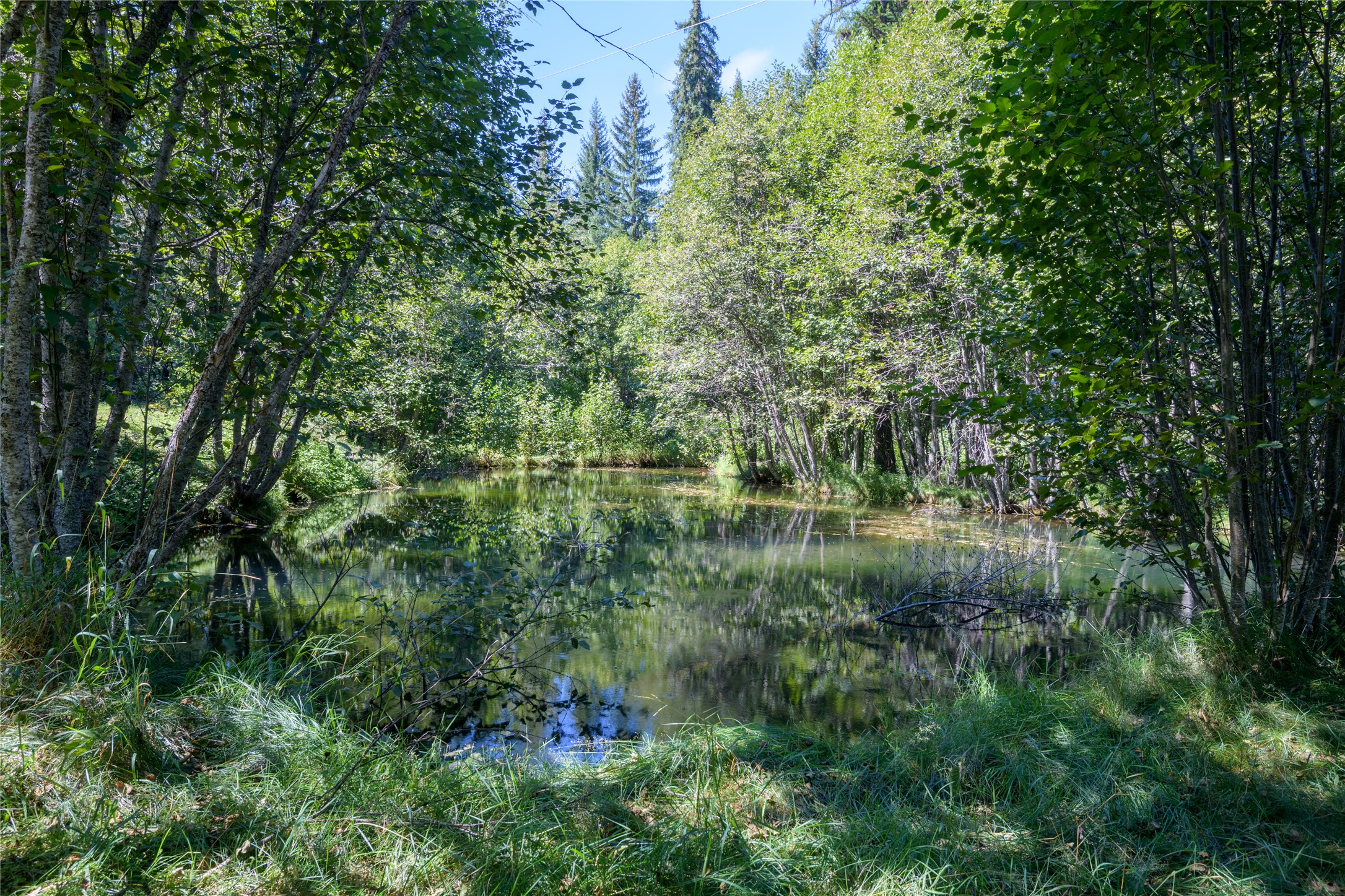 8160 W Fork Petty Creek Road Property Photo 45