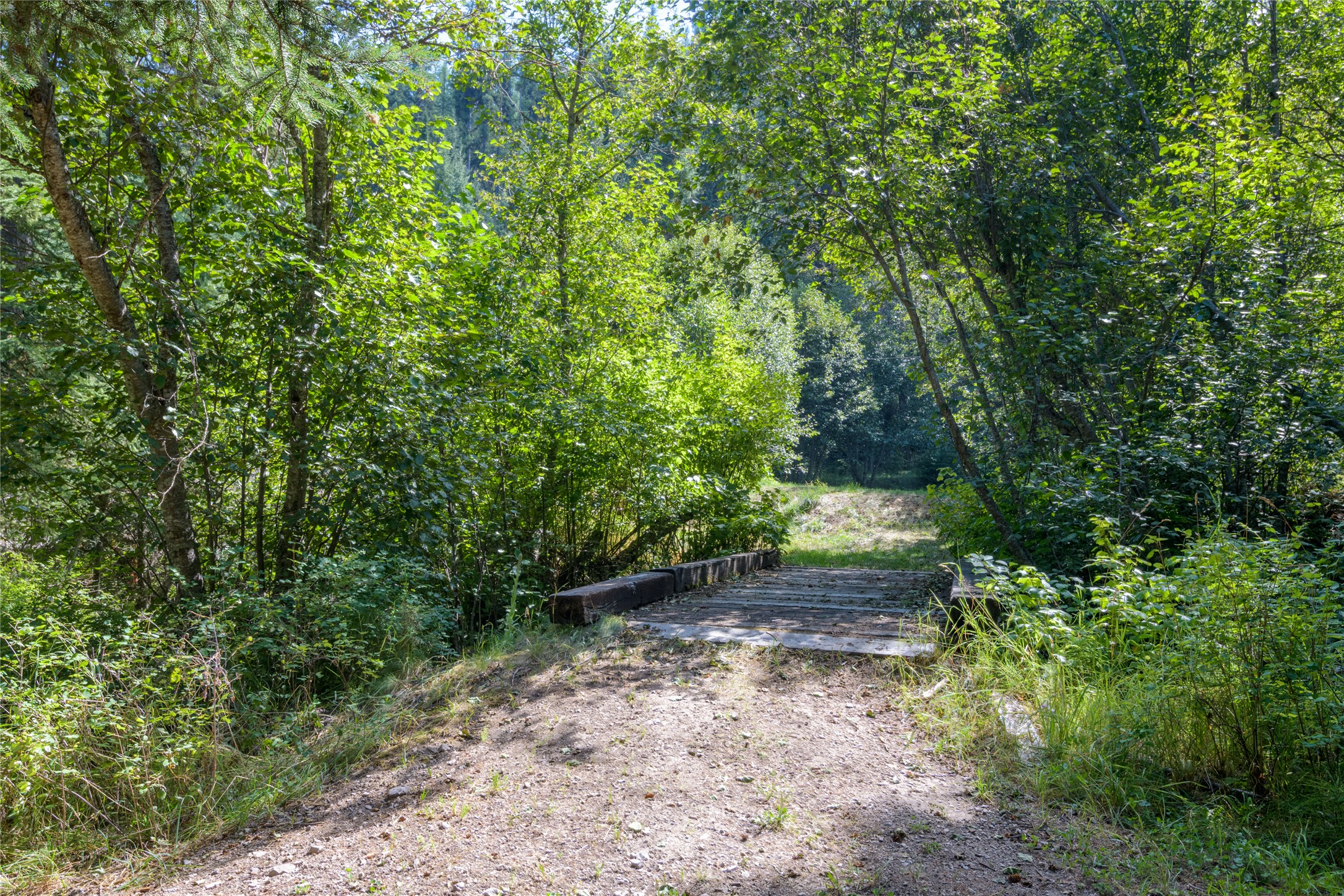 8160 W Fork Petty Creek Road Property Photo 46